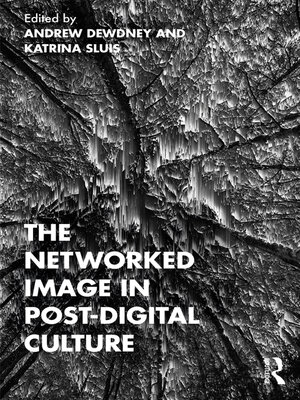 cover image of The Networked Image in Post-Digital Culture